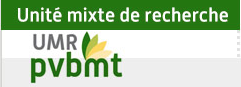 Unité mixte de recherche - UMR PVBMT