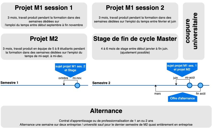 Mise en oeuvre de la professionnalisation dans le master, voir la description détaillée ci-dessous
