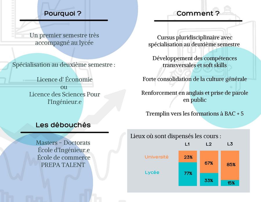 Pourquoi ? / Les débouchés / Comment ? Voir la description détaillée ci-dessous